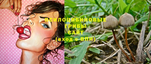 тгк Нефтекумск