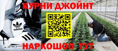 ПСИЛОЦИБИНОВЫЕ ГРИБЫ Пыть-Ях