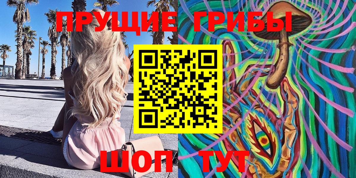 наркотики  Вход с VPN  Первоуральск  Псилоцибиновые грибы Psilocybe 