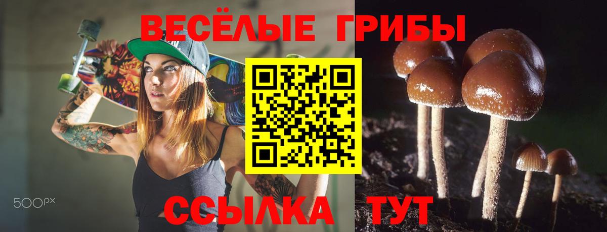 Галлюциногенные грибы Magic Shrooms Первоуральск
